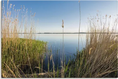 Produktbild von ARTland Leinwandbild Achterwasser Insel Usedom Größe: 60x40 cm