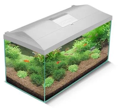 Productafbeelding van Aquael Leddy 75 Dag & Nacht 2.0 | 105L | 75 x 35 x 40CM Wit