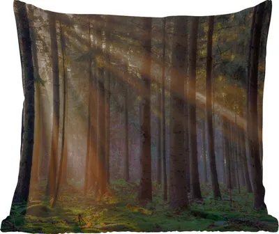 Produktbild von MuchoWow® Outdoor Kissen - Bäume - Wald - Sonne - Pflanzen - 45x45 cm - Wetterfest - Lounge Kissen - Fotokissen - Dekoratives Kissen