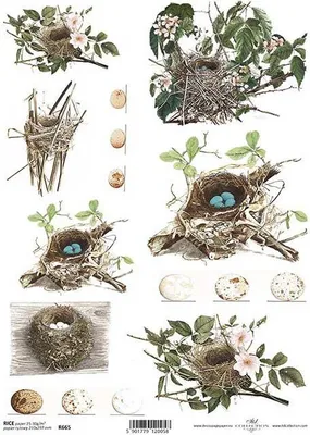 Zdjęcie produktu dla Papier ryżowy do decoupage A4 ITD-R665 - gniazda