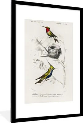 Produktbild von MuchoWow® MuchoWow® Gerahmtes Poster Vogel - Vintage - Zweig 60x90 cm - Poster mit zchwarzem Bilderrahmen - Dekoration - Wandposter Wohnzimmer - Hochwertig