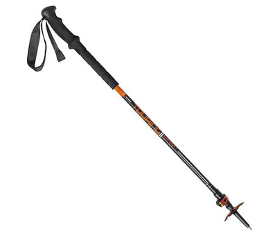 A single ski pole against a white background.