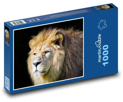Obrázok produktu pre Puzzle 1000 Lev s majestátnou hrivou - martinpuzzle
