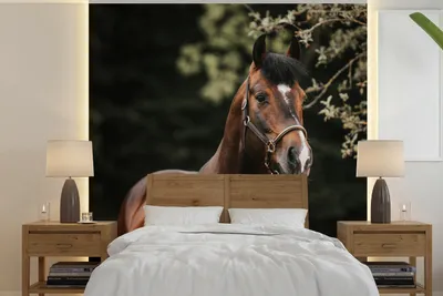 Produktbild von MuchoWow® Fototapete für Wohnzimmer oder Schlafzimmer Wandtapete Vinyl Motivtapete Pferd - Äste - Porträt - 220x220 cm - Tapeten