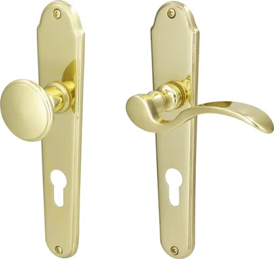 Produktbild von Südmetall Türgriff-Garnitur Langschild Panda PZ Messing poliert Drücker links gold 225 x 45 mm