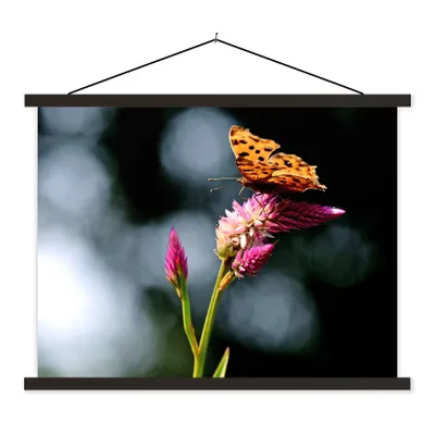 Produktbild von MuchoWow® Textilposter Schmetterling - Blumen - Insekten 150x113 cm mit schwarzem Rahmen - Wohnzimmer