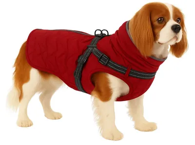 Produktbild von Flamingo Hundemantel Winter, Rot, 40 cm, wasserdicht, reflektierend, Fleecefutter