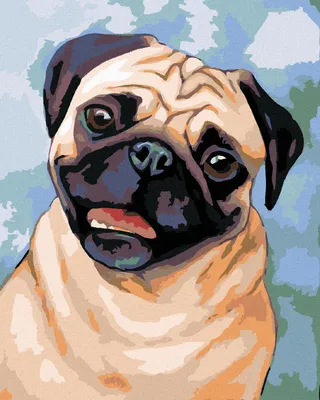 Zdjęcie produktu dla Zuty - Painting by Numbers - BROWN MOPS, 40x50 cm, naciągnięte płótno na ramę