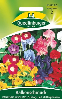 Produktbild von Balkonschmuck, Rankende Mischung