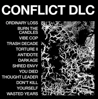 Produktbild von Conflict DLC