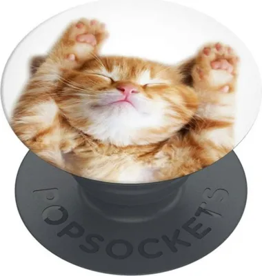 Produktbild von Popsockets 2 Snoozy Cat 70072 Telefonhalterung und Ständer - Basic