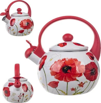 Image de Bouilloire sifflante - Bouilloire - Émail - 2,2 l - Induction et gaz - Avec sifflet - Poignée classique
