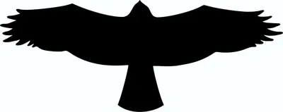 Produktbild von Aufkleber Vögel schwarz 2 Stück je 115 x 290 mm