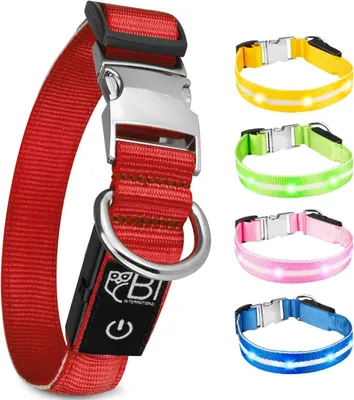 Immagine prodotto di Collare luminoso Petsation per cani – Collare riflettente con 5 punti luminosi per una maggiore visibilità e sicurezza di notte, regolabile, impermeabile, ideale per le passeggiate al buio, colore: rosa, taglia: XS