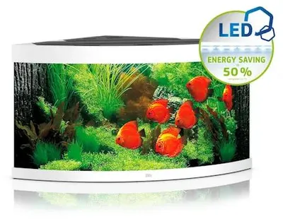 Productafbeelding van Juwel Trigon 350 LED | 350L | 123 x 87 x 65CM Wit