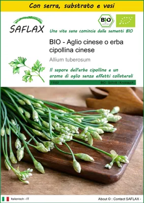 Immagine prodotto di SAFLAX Insieme di coltivazione -- Aglio cinese o erba cipollina cinese - 100 semi - Allium