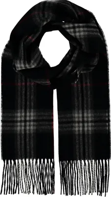 Produktbild von FRAAS Schal Cashmink® Scarf with FRAAS Plaid Black schwarz mehrfarbig