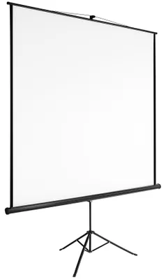 Produktbild von tectake® Beamer-Leinwand ausziehbar Doppelschicht-Gewebetuch, faltenfrei