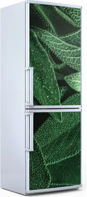 Produktbild von Magnete Dekorative - 70 cm x 190 cm - Küche - Magnetmatte Kühlschrankmagnete - Frischem Salbei