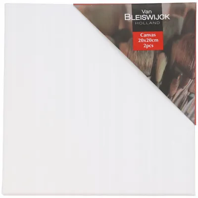 Obrázek produktu pro Van Bleiswijck Malířské plátno 20x20 cm 3D malířské plátno 1 ks