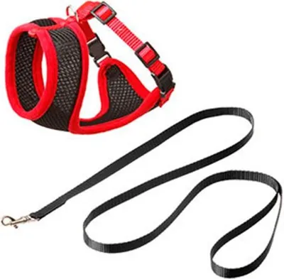 Obrázok produktu pre Postroj Flamingo červeno-čierny 120CM15MM