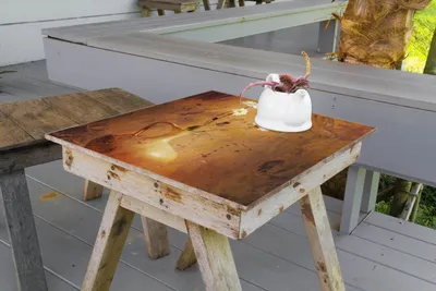 Produktbild von Wallario selbstklebende Möbelfolie/ Tischdecke für Innen und Außen, Größe: 60 x 60 cm - Antike Vase mit Blumen