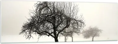 Produktbild von Bilder auf glas - Einteilig - Bäume Schnee Nebel - 160x50cm - Glasbilder - Wandbilder - Bilder - zum Aufhängen bereit - Wanddekoration aus Glas - Glas Bilder - Wandbild auf Glas - GAB160x50-4136