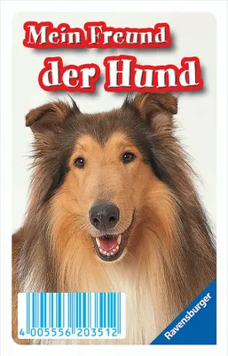 Produktbild von Quartett Mein Freund der Hund