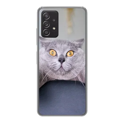 Produktbild von MuchoWow® Handyhülle Schutzhülle Hülle für Samsung galaxy a73 Katze - Angst - Stuhl Silikon Softcase Handy Hülle - Handyhülle