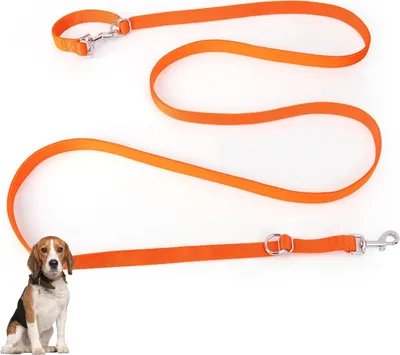 Produktbild von Hundeleine 3 m, verstellbar, mit 2 Karabinern, für kleine und mittelgroße Hunde, Nylon, orange