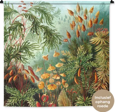 Produktbild von MuchoWow® Wandteppich Wandbehang Muscinae - Ernst Haeckel - Pflanzen 150x150 cm Tapisserie Dekoration Wandtuch - Wohnaccessoires - Modernes