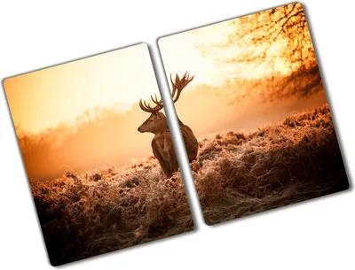Produktbild von Tulup Glas Herdabdeckplatte - 2x40x52 cm - Glaskeramikkochfeld-Abdeckung Spritzschutz Glasabdeckplatte Kochplattenabdeckung und Schneidebrett - Zweiteilig - Tiere - Hirsch Sonnenaufgang - Braun