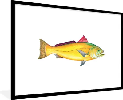 Produktbild von MuchoWow® MuchoWow® Gerahmtes Poster Fisch - Gold - Barsch 90x60 cm - Poster mit zchwarzem Bilderrahmen - Wanddekoration - Fotos