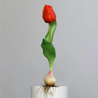 Produktbild von künstliche Tulpe mit Zwiebel rot grün H. 25cm DPI Kunstblumen
