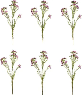 Produktbild von 6er Set künstliche Wachsblumenzweige lila H. 78cm Emerald Kunstblumen