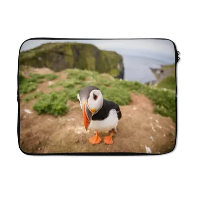 Produktbild von MuchoWow® Laptop Hülle 14 ZollNahaufnahme eines Papageientauchers Laptoptasche - Laptoptasche - Stoßsicher - Schutzhaube