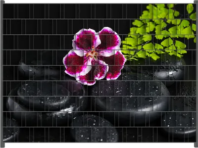Produktbild von Wallario Zaunsichtschutz mit Motiv Geranienblüte auf schwarzen Steinen, benetzt mit Wassertropfen für Ein- und Doppelstabmatten Zäune in der Größe 250 x 180 cm