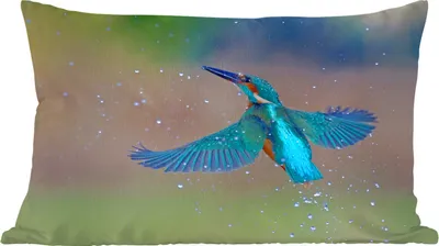 Produktbild von MuchoWow® Zierkissen Sofakissen Wohnzimmer Dekokissen 60x40 cm Eisvogel - Fliegen - Blau - Kopfkissen - Polster mit Foto