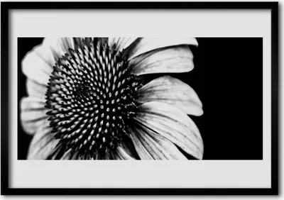 Produktbild von Bild 100x70 MDF-Rahmen Wandkunst Natur Blume Pflanze