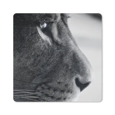 Produktbild von MuchoWow® Mauspad Mousepad Tierprofil Löwe in schwarz und weiß 20x20 cm - Mousepads - Maus Mat - Pad - Mausunterlage - Desk Mat - Bureauartikeln