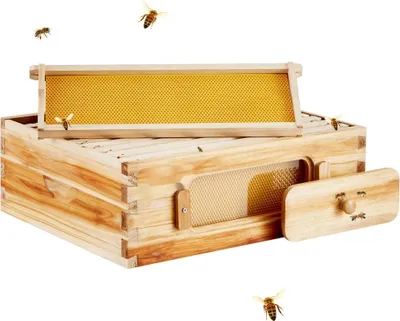 Produktbild von Bienenbeute Zander 10-Rähmchen Bienenstock - Imkereibedarf mit transparenten Bienenfenstern - Robuste und langlebige Bienenbehausung