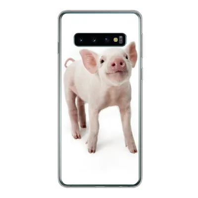 Produktbild von MuchoWow® Handyhülle Schutzhülle Hülle für Samsung Galaxy S10 Schwein - Tiere - Weiß Silikon Softcase Handy Hülle - Handytasche