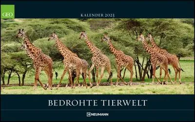 Produktbild von GEO Bedrohte Tierwelt 2023 - Wand-Kalender - Tier-Kalender - Poster-Kalender - 58x36