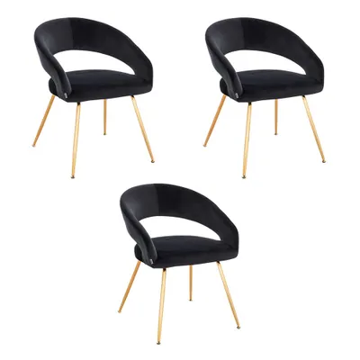 Produktbild von HOME DELUXE - Polsterstuhl LYRIC - 3 Stück, Farbe: Samt Schwarz - weiche Polsterung, bis 120 kg belastbar I Küchenstuhl Speisestühle Esszimmerstühle