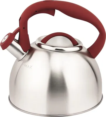 Image de MICHELINO 2,4 L Acier inoxydable Bouilloire à flûte Bouilloire SILBER Poignée : ROT 11404