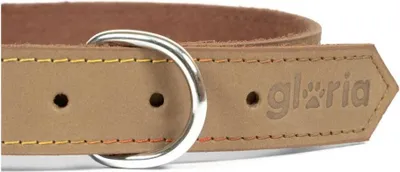 Productafbeelding van Hondenhalsband Gloria Oasis, beige en wit, 35 cm (1,2 x 35 cm)