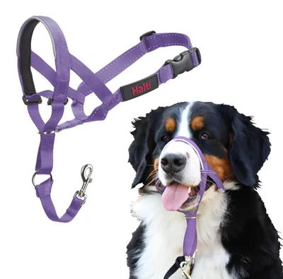 Productafbeelding van Halti hoofdtuig voor honden | Maat 4, paars
