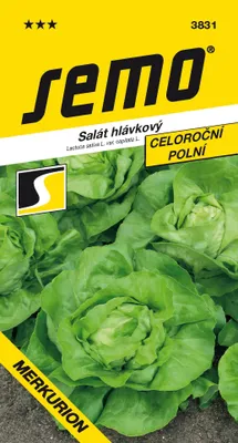 Produktbild von Samen - KOPFSALAT 'MERKURION' ganzjährig