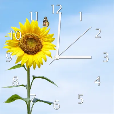 Produktbild von Wallario Design Wanduhr Sonnenblume mit Schmetterling aus Echtglas, Größe 30 x 30 cm