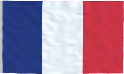 Produktbild von 2 französische Flaggen – Flagge Frankreichs – 2 Stück – Drapeau français – 150/90 cm – Polyester – Weltmeisterschaft – Europameisterschaft – Fußballflagge – CHPN